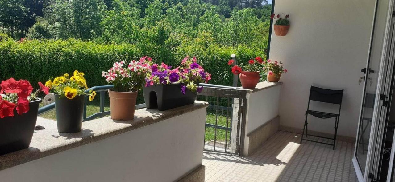 Villa Garden & Pool - Alojamentos Castelbuono Extérieur photo